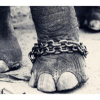 ¿Quieres saber cómo no me he hecho millonaria… todavía?