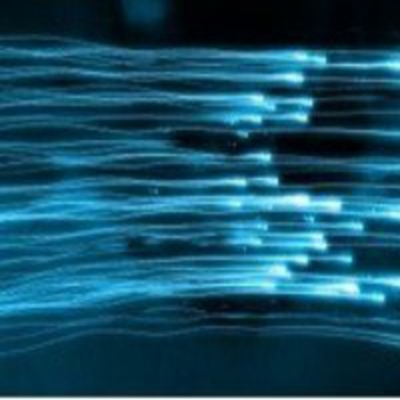 Podcast Ingresos Hoy En Día - Paloma Reino