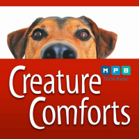 Creature Comforts | All Pets All the Time