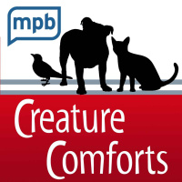 Creature Comforts | Spaying amp Neutering 