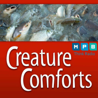 Creature Comforts | Freshwater Fishing