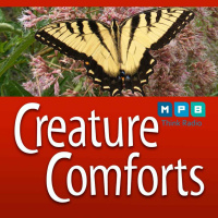 Creature Comforts | Tigers and Zebras in Mississippi