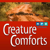Creature Comforts | Wild Hogs