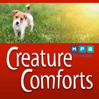 Creature Comforts | Emails and Calls about Tails and Paws