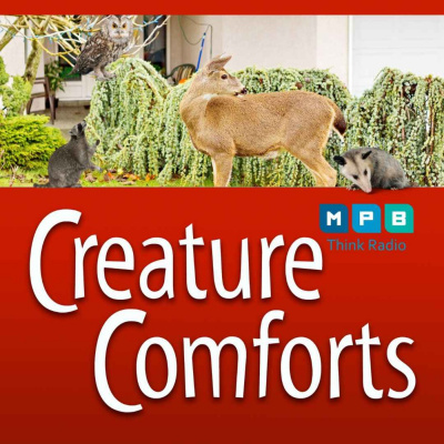 Creature Comforts