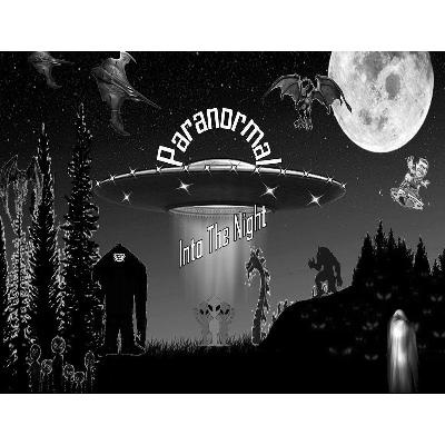 Paranormal Into The Night