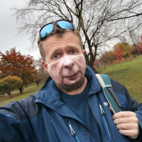 Kruk w Lampie, czyli Jeszcze Nowsza Normalność