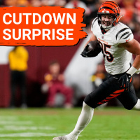 Bengals go heavy at DT, light on OL for initial 53-man roster