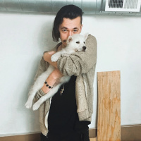 Spirit Animal Meditation