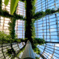 PodCastizo nº94: De escultura, botánica y otras luces de Madrid. Con Antonello Dellanotte. (Programa fin de temporada).