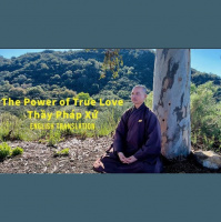 443: The Power of True Love (Translation)