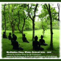 Meditation Class 2017-02-19, Mind in the Mind, Part 2