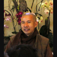 Healing Emotions: A Dharma Talk by Thich Phap Dang