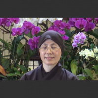 2019-07 Sr Dang Nghiem - Healing the Healer