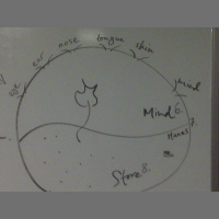 Verse 5 of the 14 Verses on Meditation (Stopping and Deep Looking): To calm, to relax the body and mind