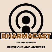 What are the goals of the practice?