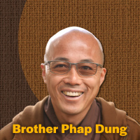 457: Brother Phap Dung: Now You Get to Choose