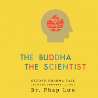 428: Everywhere All At Once