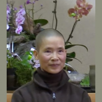 2020-10-22 DP 20 Yr Retreat Guided Meditation - Sr Le Nghiem - ENVN