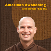 462: Brother Phap Luu: American Awakening (Meet the Monastics)