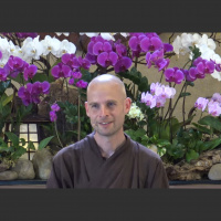 2017-09-17 Brother Phap Luu. The Universe Blushes