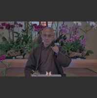 411: Exploring Gender, Perceptions, and Suffering