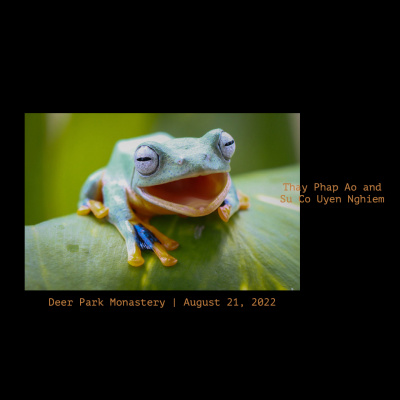 The Deer Park Dharmacast