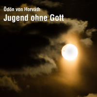 Kapitel 1: Die Neger