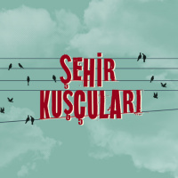 Şehir Kuşcuları - 34.Bölüm - Otoyol kuşları