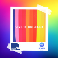 VTO A legislar desde la realidad Trans en PR - Episodio exclusivo para mecenas