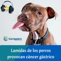 ¿Dejar que mi perro me bese, me puede provocar cáncer gástrico?