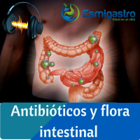 Antibióticos y flora intestinal