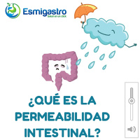 ¿Qué es la permeabilidad intestinal?