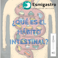 ¿Qué es tránsito o hábito intestinal?