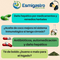 Té de boldo ¿bueno o malo para el hígado?