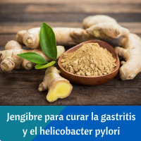 Jengibre para curar la gastritis y el helicobacter pylori