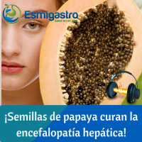 Semillas de papaya curan la encefalopatía hepática
