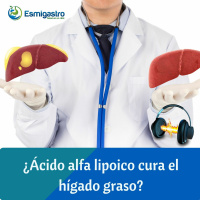 ¿El ácido alfa lipoico cura el hígado graso?