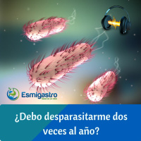 ¿Debo desparasitarme dos veces al año?