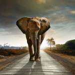 Indian Popular Languages That Have 100,000 To One Million Speakers(from No.30 To No.60) - good News,words Of Life .gospe