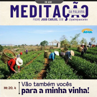 20 de Agosto | Padre João Carlos - Meditação da Palavra do Senhor