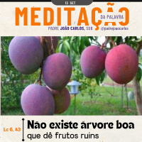 13 de Setembro | Padre João Carlos - Meditação da Palavra do Senhor