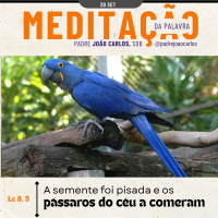 20 de Setembro | Padre João Carlos - Meditação da Palavra do Senhor