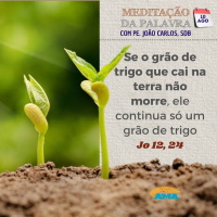 10 de agosto de 2024 - Meditação Palavra do Senhor