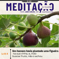 25 de OUTUBRO - Meditação da Palavra do Senhor