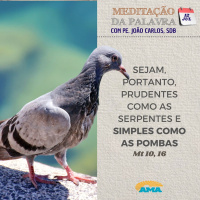 12 de julho de 2024 - Meditação da Palavra do Senhor