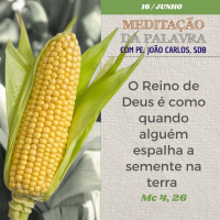 16 de junho de 2024 - Meditação da Palavra do Senhor