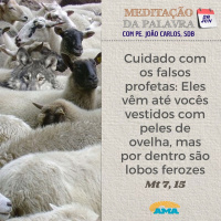 26 de junho DE 2024 - Meditação da Palavra do Senhor