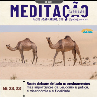 26 de Agosto | Padre João Carlos - Meditação da Palavra do Senhor