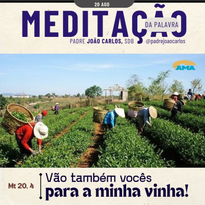 Reflexões Do Pe. João Carlos